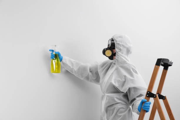 Best Residential Mold Inspection & Testing  in Dana Point, CA